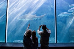 Dubai Summer Offers: 9 Family-Friendly Deals